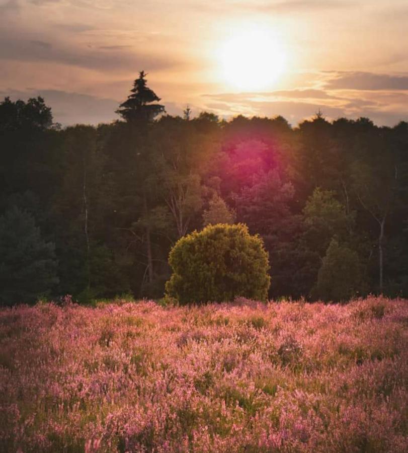 Hotel Kaiserhof ムンスター・イン・ハイデクライス エクステリア 写真